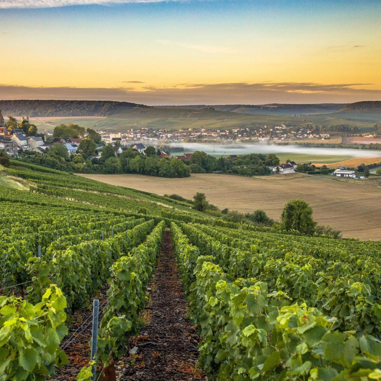 Апартаменты Les Bulles De Bonheur - Au Coeur Du Vignoble Champenois Chouilly Экстерьер фото